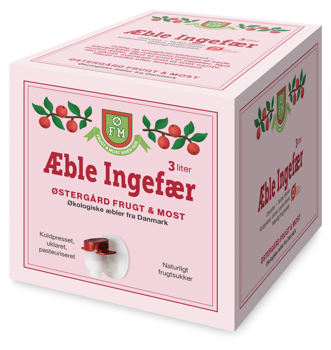 Økologisk Æble Ingefær - 3 liter i en box - Alt i Sundhed