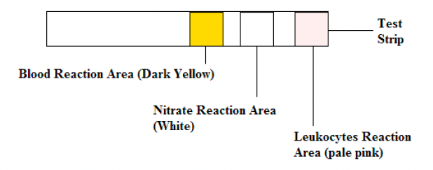 Urinvejsinfektionstest 1stk