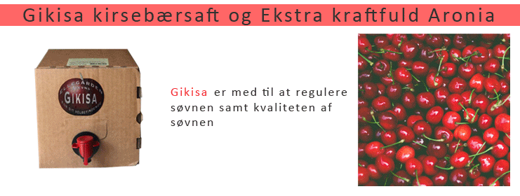 Gikisa Saft