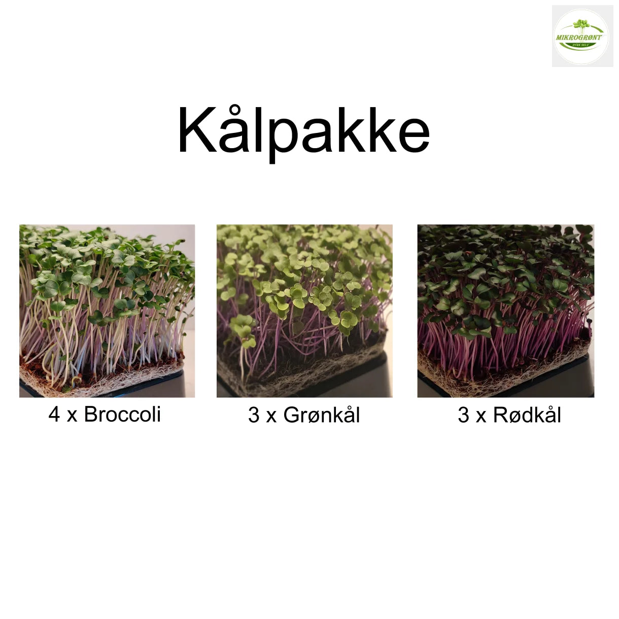 Kål pakke (10 stk) - Spirer -Mikrogrønt - dyrk selv
