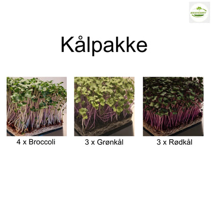 Kål pakke (10 stk) - Spirer -Mikrogrønt - dyrk selv