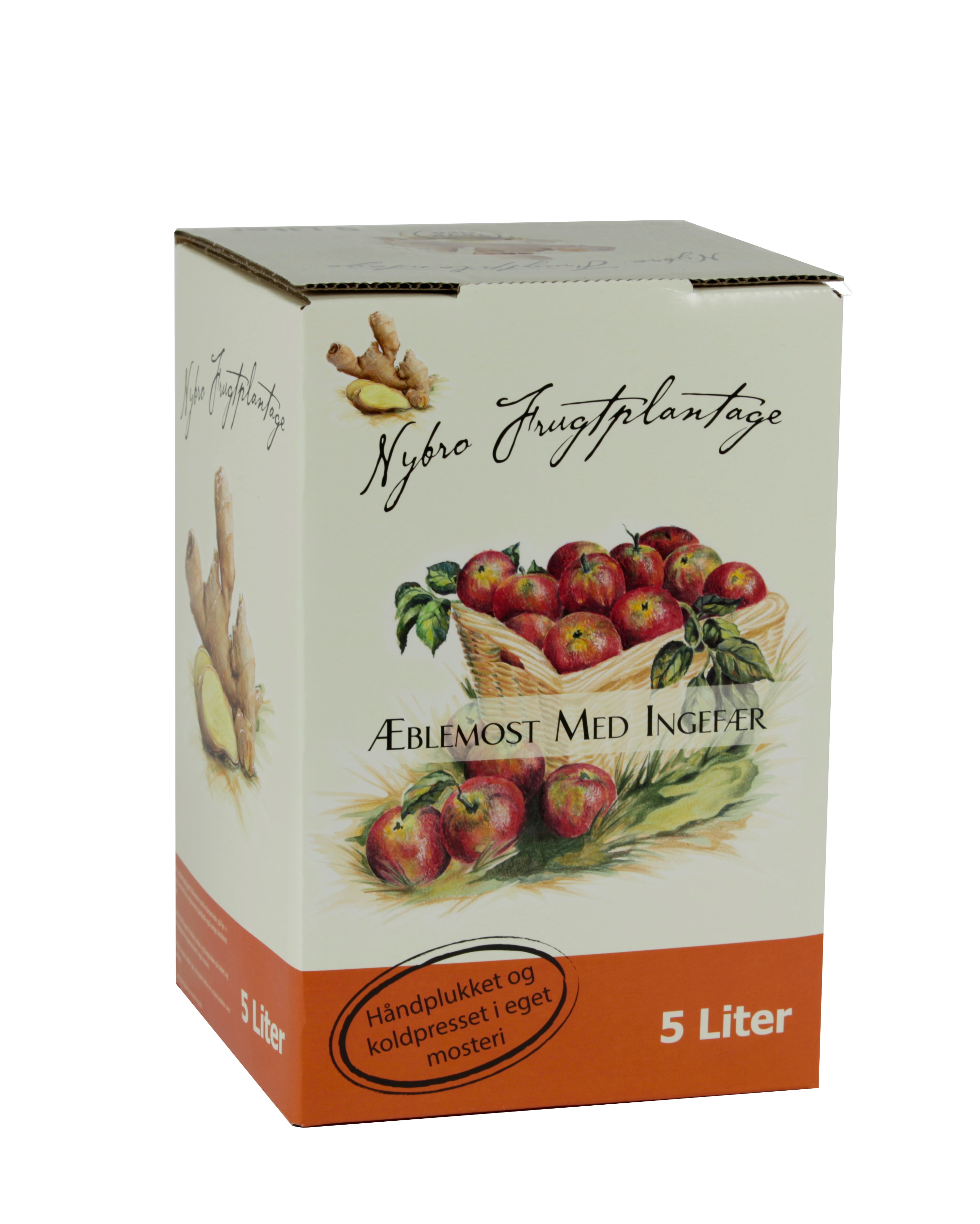 Æblemost med Ingefær  5 Liter - Alt i Sundhed