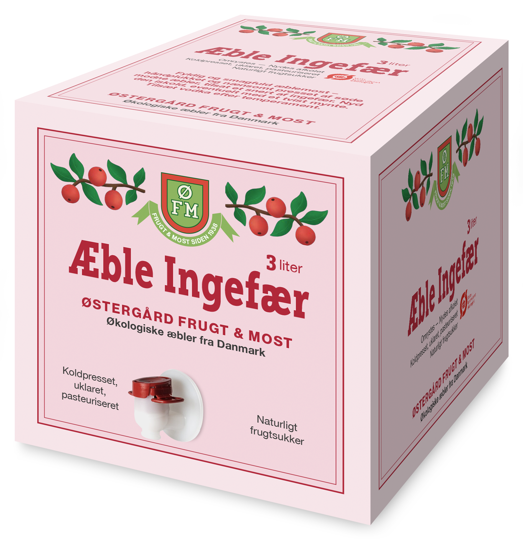 Økologisk Æble Ingefær - 3 liter i en box - Alt i Sundhed