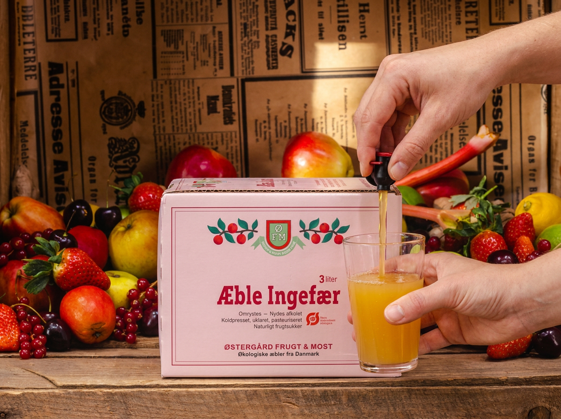 Økologisk Æble Ingefær - 3 liter i en box