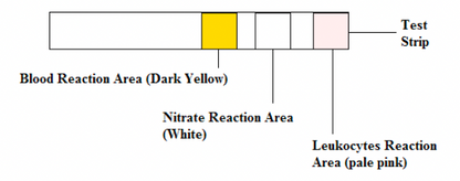 Urinvejsinfektionstest 1stk