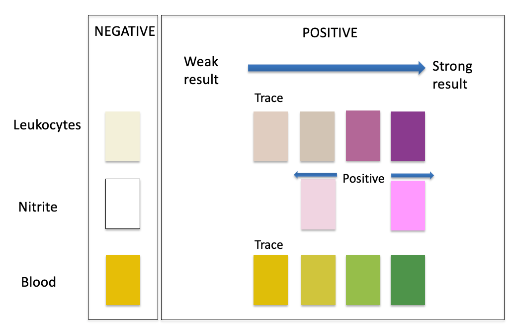 Urinvejsinfektionstest 1stk