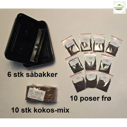 Kål pakke (10 stk) - Spirer -Mikrogrønt - dyrk selv