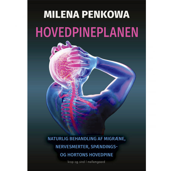 Hovedpineplanen af Milena Penkowa