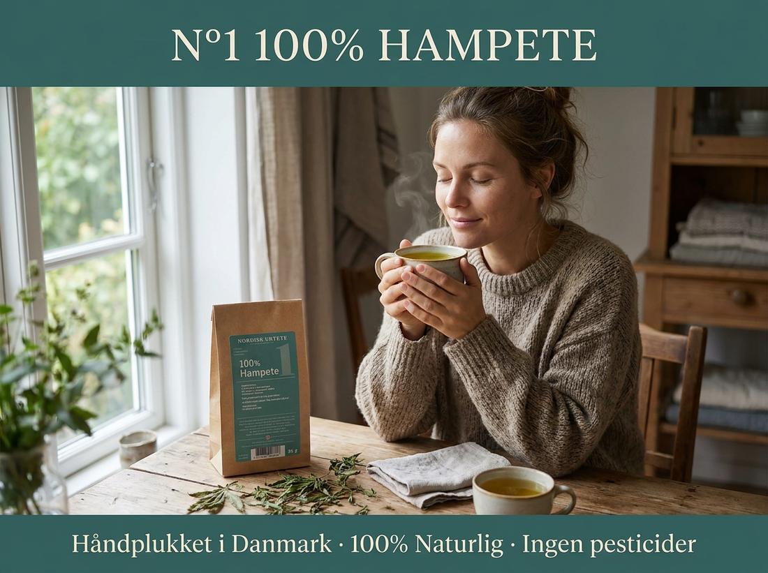 NORDISK URTETE - N°1 - 100% HAMPETE